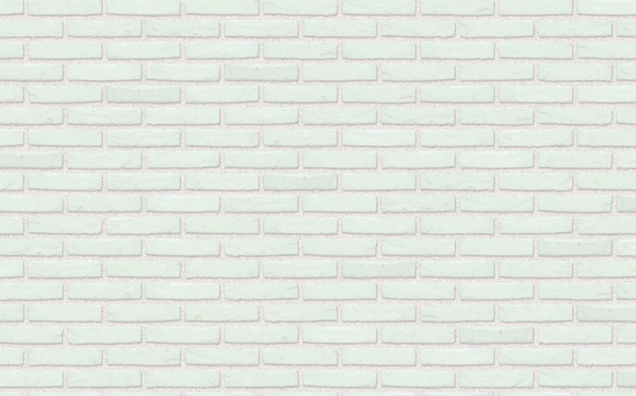 Кирпич керамический Nelissen BLANCO, 210*100*50 мм