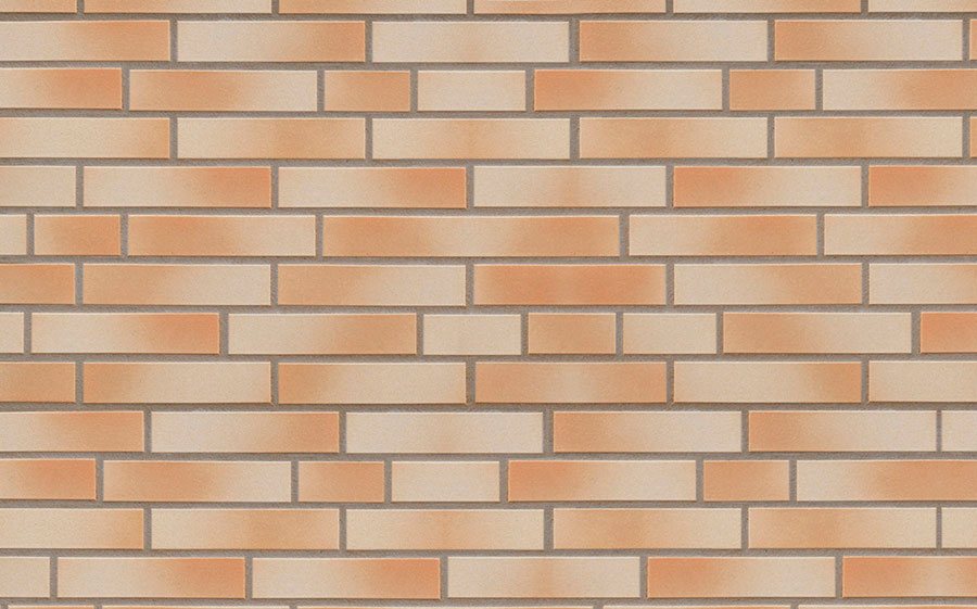 Клинкерная фасадная плитка ABC Piz Kesch гладкая DF10, 240*52*10 мм