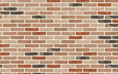 Кирпич ручной формовки Nelissen Hoevesteen T15, 215*50*65 мм