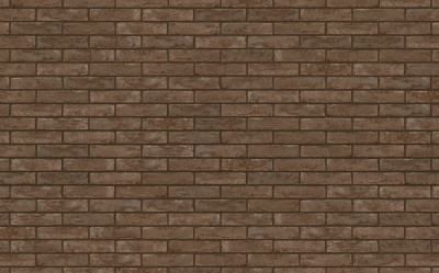 Фасадная плитка ручной формовки Nelissen MURIA / GRIJS MANGAAN (old name), 210*20*50 мм