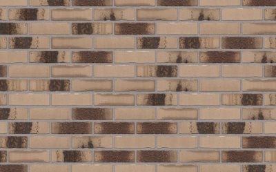 Клинкерная фасадная плитка Feldhaus Klinker R980 Vario bacco argo darko, 240*52*14 мм