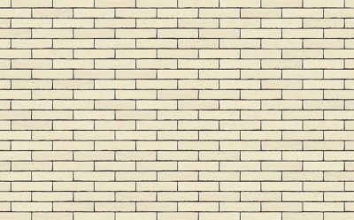 Фасадная плитка ручной формовки Nelissen RODRUZA WIT, 210*20*50 мм