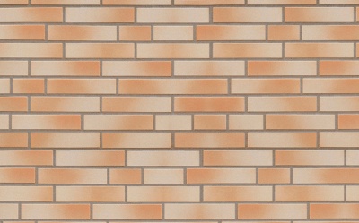 Клинкерная фасадная плитка ABC Piz Kesch гладкая DF10, 240*52*10 мм