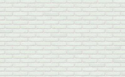 Кирпич керамический Nelissen BLANCO, 215*50*65 мм