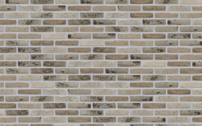 Фасадная плитка ручной формовки Nelissen CAP GRIS NEZ SINTERED, 210*20*50 мм