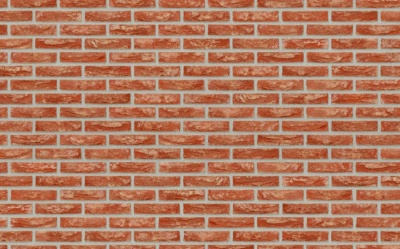 Фасадная плитка ручной формовки Nelissen WIJNEGEM, 210*20*50 мм