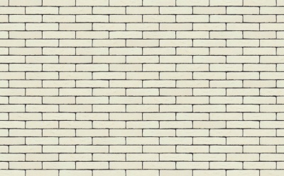 Фасадная плитка ручной формовки Nelissen RODRUZA SUPER  WIT, 210*20*50 мм