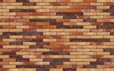 Фасадная плитка ручной формовки Nelissen PREMIUM, 215*20*65 мм
