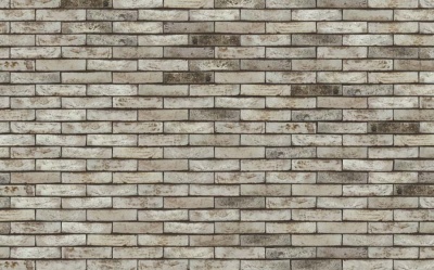 Фасадная плитка ручной формовки Nelissen BORLO SINTERED, 210*20*50 мм