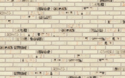 Кирпич керамический полнотелый Nelissen Rodruza Wit Sintered рельефный, 215*50*65 мм