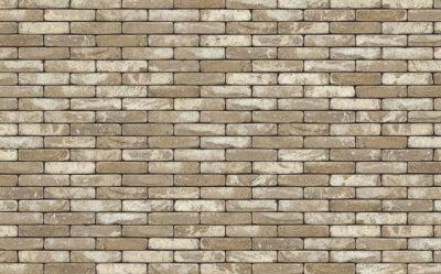 Кирпич керамический Nelissen Ares, 215*50*65 мм