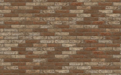Кирпич ручной формовки Nelissen Maasteen, 215*100*65 мм