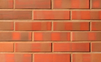 Керамическая фасадная плитка Lode Martins гладкая RF, 250*65*10 мм