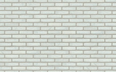 Кирпич керамический Nelissen ARGENTO, 215*50*65 мм